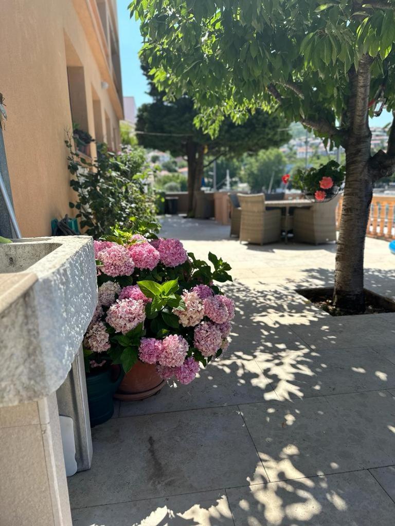 Apartmani Suzana 클레노비차 외부 사진